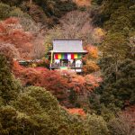 大悲閣千光寺［だいひかく せんこうじ］/ 京都市内が一望できる絶景寺院