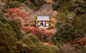 大悲閣千光寺［だいひかく せんこうじ］/ 京都市内が一望できる絶景寺院