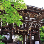 善峯寺［よしみねでら］/１万株の紫陽花が開花する絶景スポット