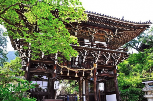 善峯寺［よしみねでら］/１万株の紫陽花が開花する絶景スポット
