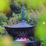 永観堂(禅林寺)/ 紅葉名所ランキング1位を人混みを避けて楽しむ