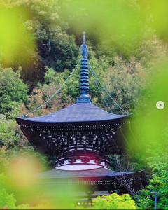 永観堂(禅林寺)/ 紅葉名所ランキング１位を人混みを避けて楽しむ