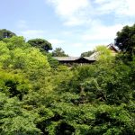 東福寺/京都を代表する禅寺で青もみじの美しさを感じる