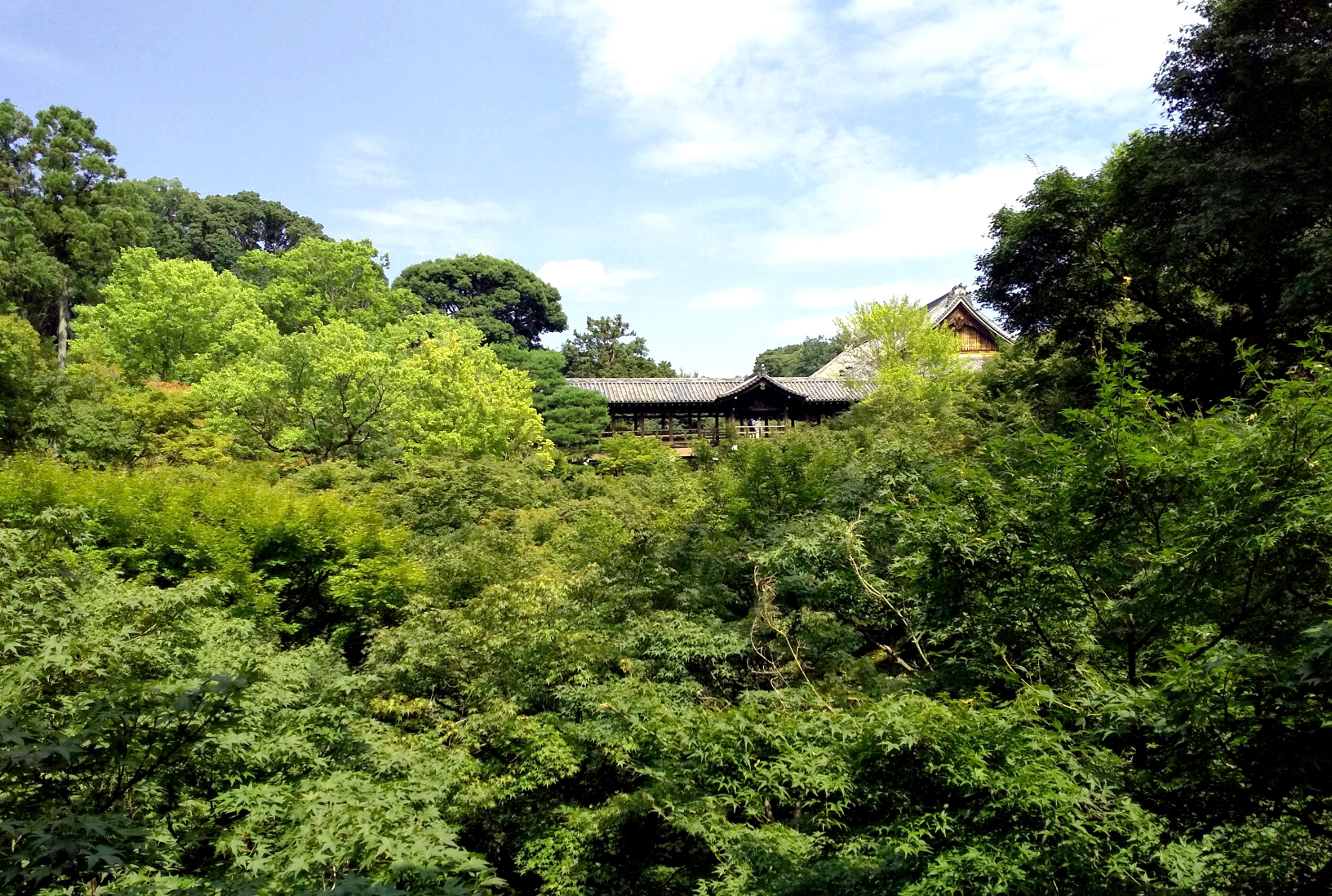 東福寺/京都を代表する禅寺で青もみじの美しさを感じる